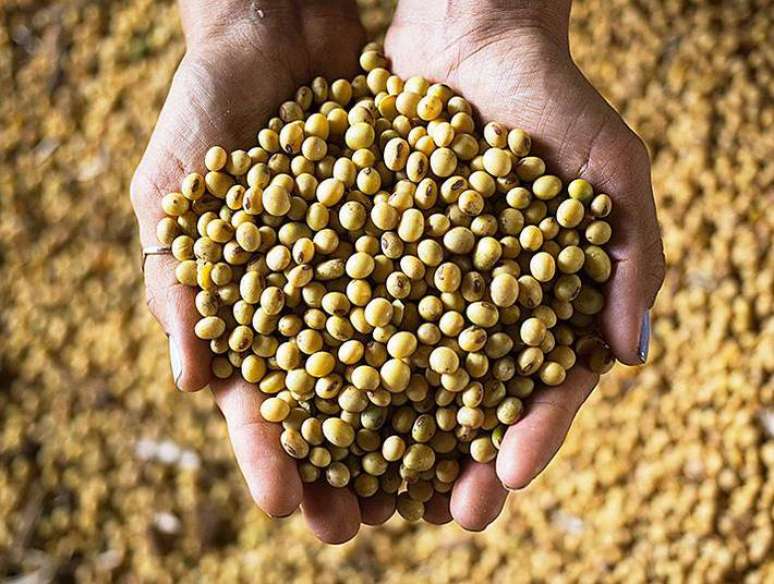 Projeto leva em conta as produ&ccedil;&otilde;es de cada regi&atilde;o