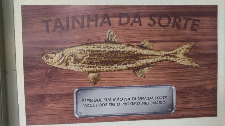 "Esfregue sua mão na tainha da sorte. Você pode ser o próximo milionário", diz a placa.