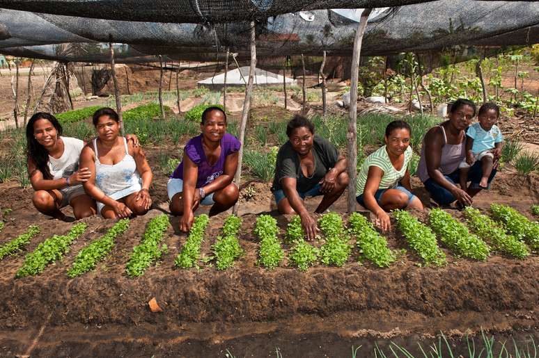 Imagem mostra mulheres negras posando para foto na estufa de hortaliças da Associação de Mulheres Quilombolas de Biritinga (BA).