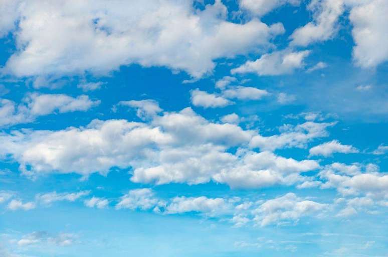 &ldquo;A natureza quer ser eficiente", diz Figalli. &ldquo;Por esse motivo, o transporte &oacute;timo e a natureza andam bem juntos.&rdquo;