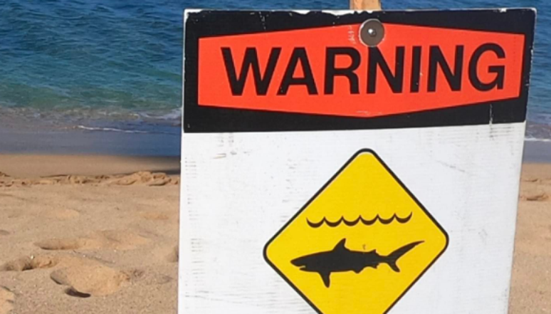 Aviso de perigo em praia no Havaí após surfista ser atacado por tubarão.