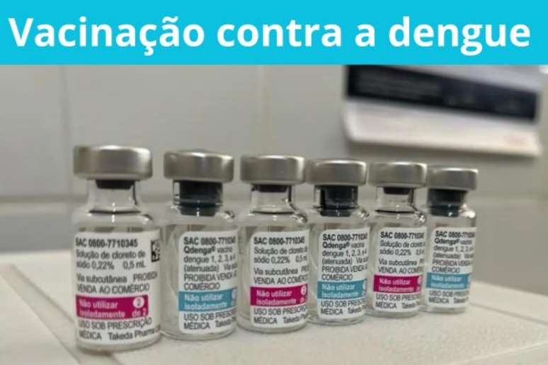 Dengue vaccine: understanding how the immunization process works