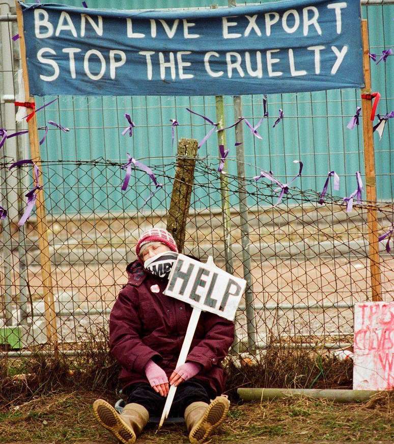 Tilley fotografou manifestantes pelos direitos dos animais em campanha na Inglaterra