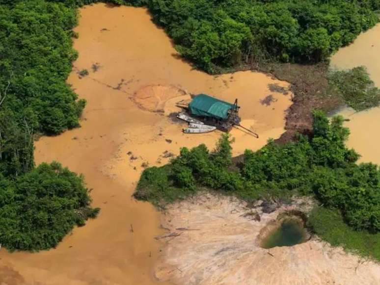 Imagem mostra uma vista aérea da Terra Indígena Yanomami.