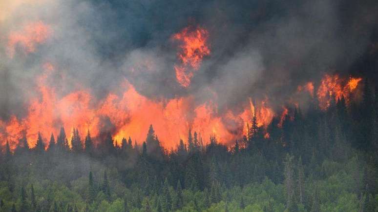 Incendio florestal