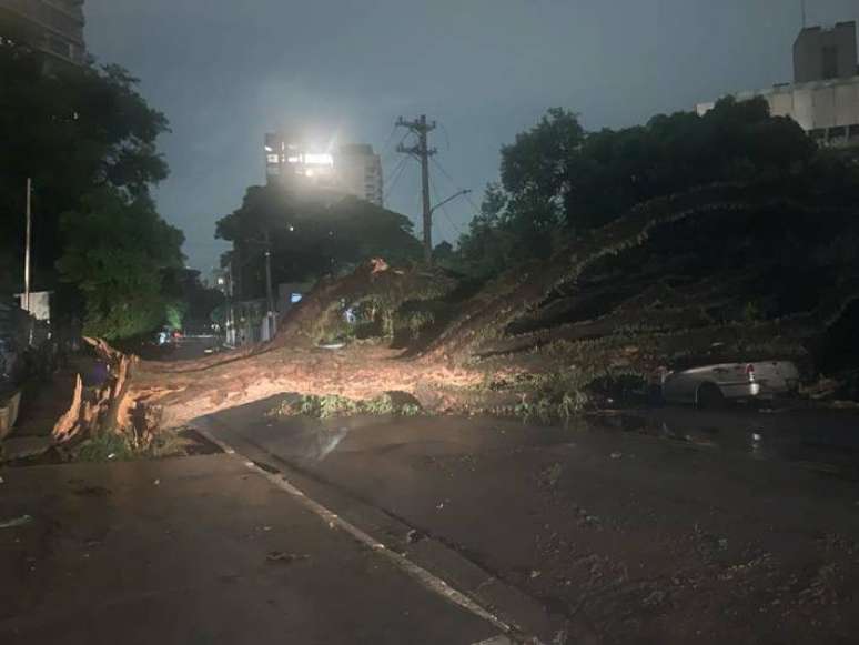 Árvore caída nas imediações da Praça Juca Mulato, na zona sul