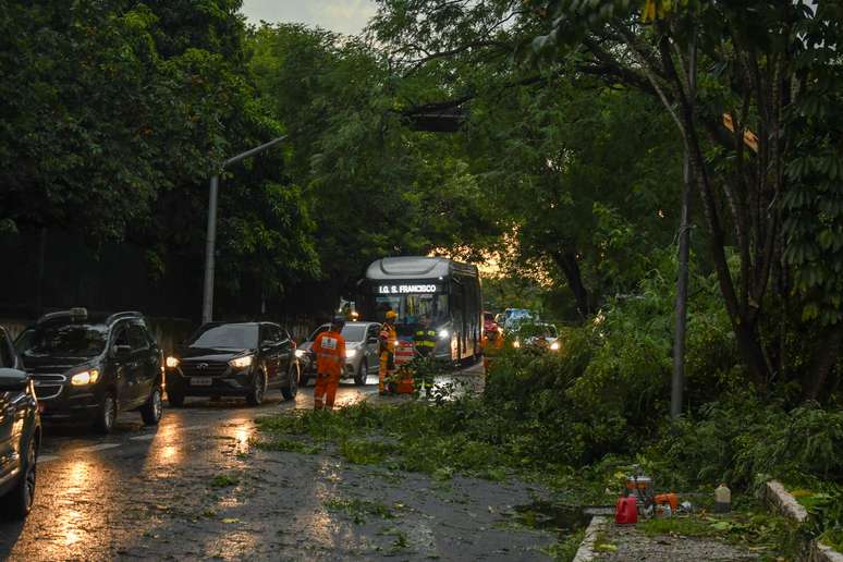 O temporal que atingiu a cidade de São Paulo na tarde desta segunda-feira (8) derrubou árvores na Avenida Rodrigues Alves , na Vila Mariana