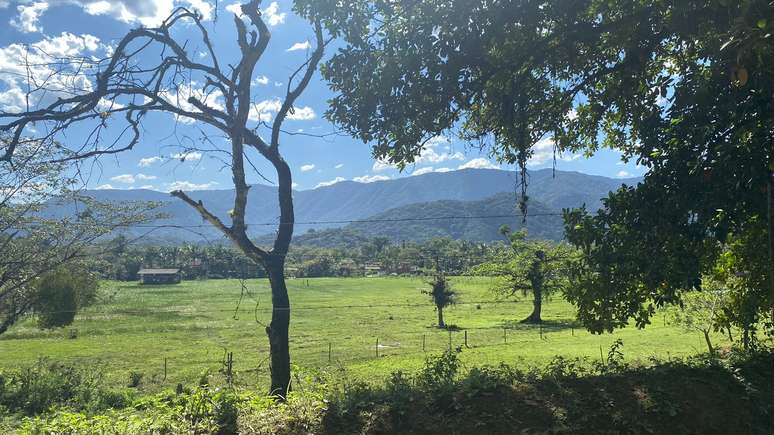 Espaço onde governo planeja a construção de moradias em Camburi