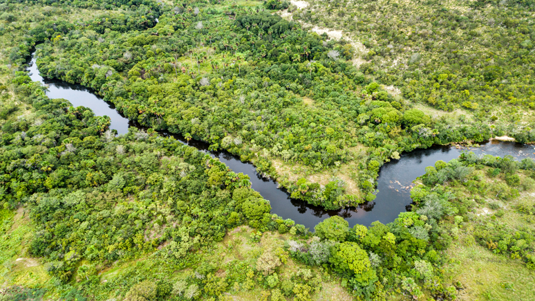 Rio Tocantins