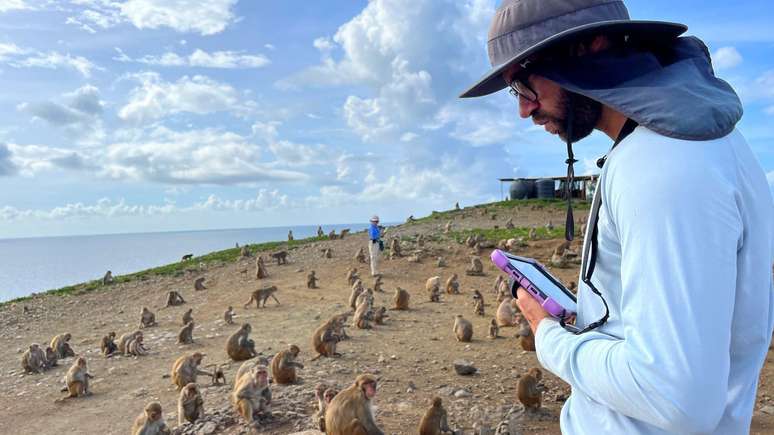 Josué Negrón del Valle trabalha diariamente observando os macacos de Cayo Santiago. As informações coletadas são utilizadas por cientistas de diversas universidades