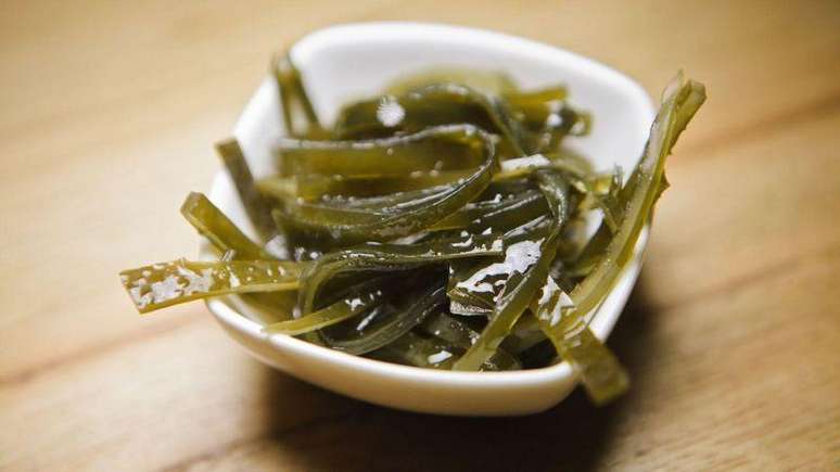 Seaweed was an important part of the diet of ancient Europeans during the transition to agriculture Seaweed was an important part of the diet of ancient Europeans during the transition to agriculture