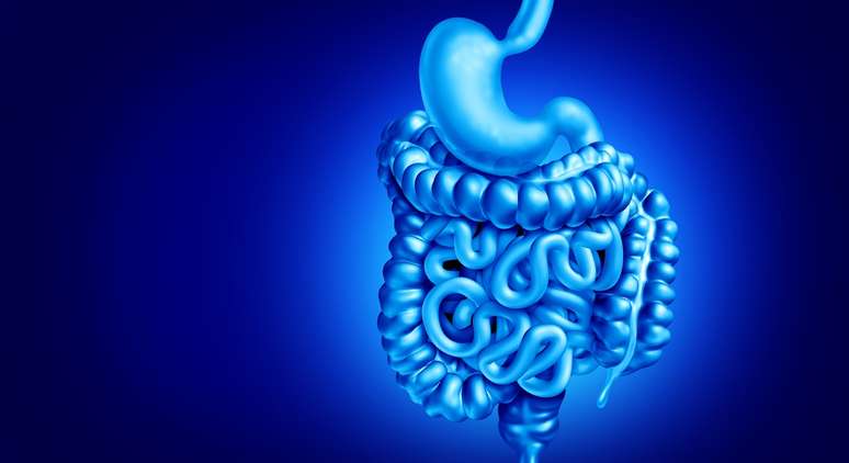 Existem vários fatores de risco para as doenças inflamatórias intestinais, como a doença de Crohn