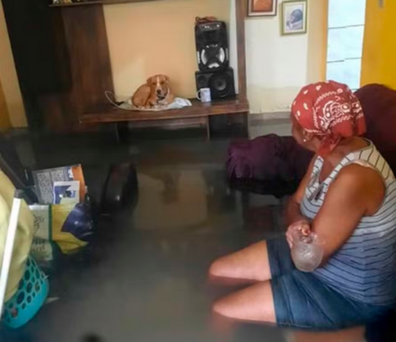 Norma se sentou no sofá ainda submerso pela água e colocou o cachorro a salvo em cima de uma estante