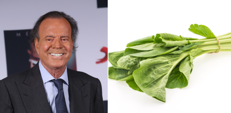 Julio Iglesias é detido em aeroporto por transportar conteúdo suspeito  