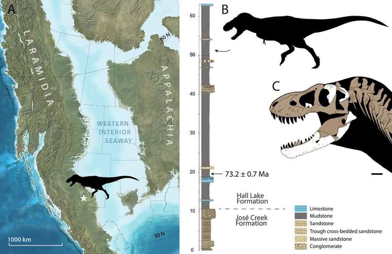 Local onde foi encontrado o fóssil do Tyrannosaurus mcraeensis e detalhes de seu crânio (Imagem: Dalman et al./Scientific Reports)