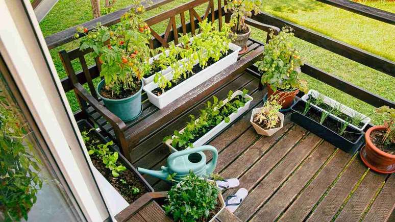 Ter uma horta em casa gera diversos benefícios