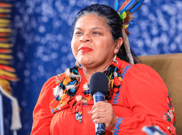 Sônia Guajajara alertou sobre a complexidade da crise enfrentada pelos indígenas