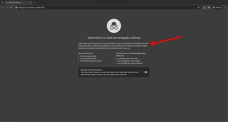 Após acordo em processo, Google indica aos usuários do modo anônimo do Chrome que seus dados podem ser coletados por sites e serviços, incluindo os da própria empresa (Imagem: Captura de tela/Bruno De Blasi/Canaltech)