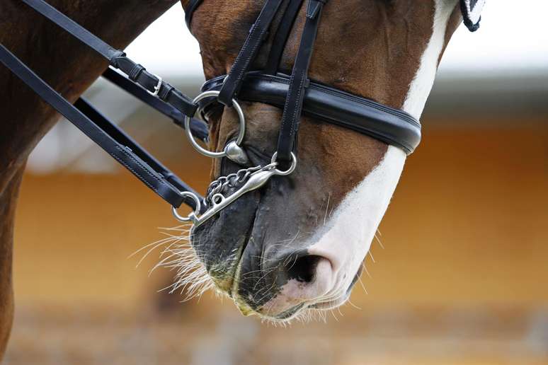 O bridão é um instrumento usado para frear o cavalo