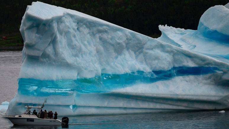 Algumas águas gourmet têm origem em icebergs