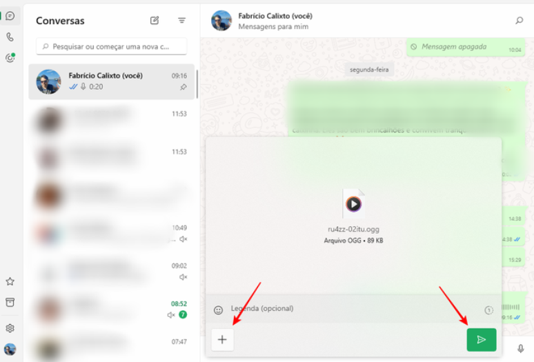 É necessário enviar o áudio editado no formato documento no WhatsApp para Windows (Imagem: Captura de tela/Fabrício Calixto/Canaltech)
