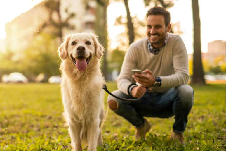 O pet sitter pode cuidar do seu animal de estimação enquanto você viaja 