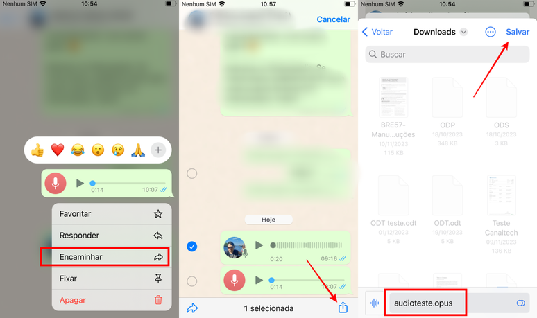 Basta tocar no ícone de compartilhamento para salvar um arquivo de áudio no iOS (Imagem: Captura de tela/Fabrício Calixto/Canaltech)