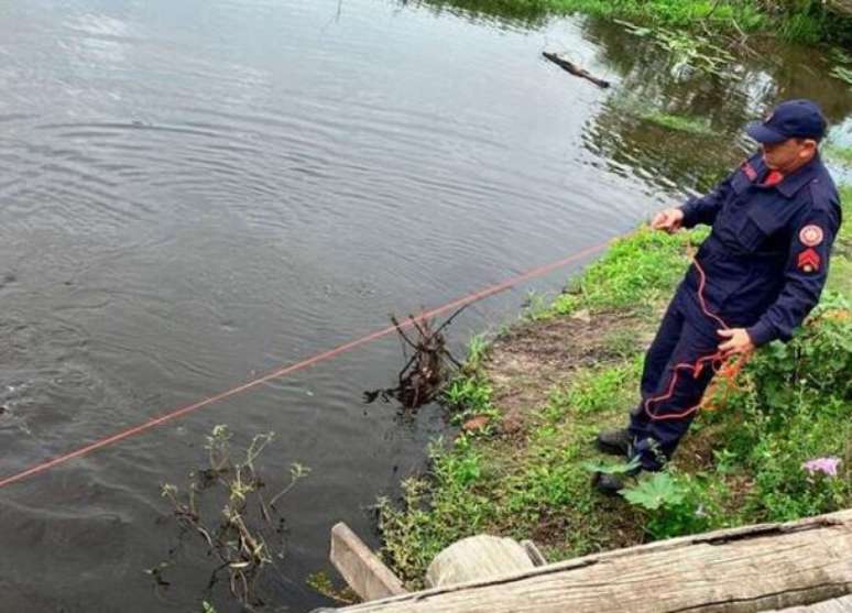 The body is found in bushland on the north coast