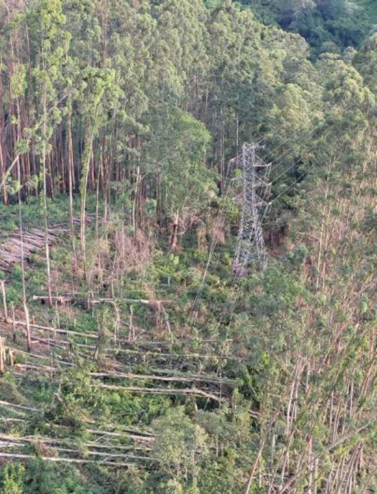 Queda de eucaliptos de grande porte por causa do vento que atingiu Cajamar, cidade na região metropolitana de São Paulo, destruiu uma torre de transmissão de energia