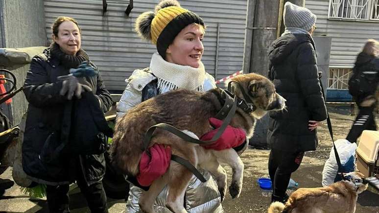 Algumas pessoas que não podem levar um cachorro para casa se voluntariam para pagar a viagem para uma área mais segura