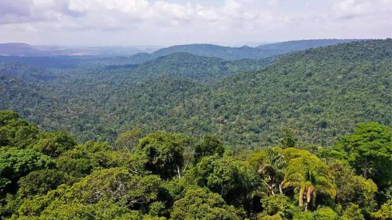 Vista área da Floresta Nacional de Carajás, na Amazônia