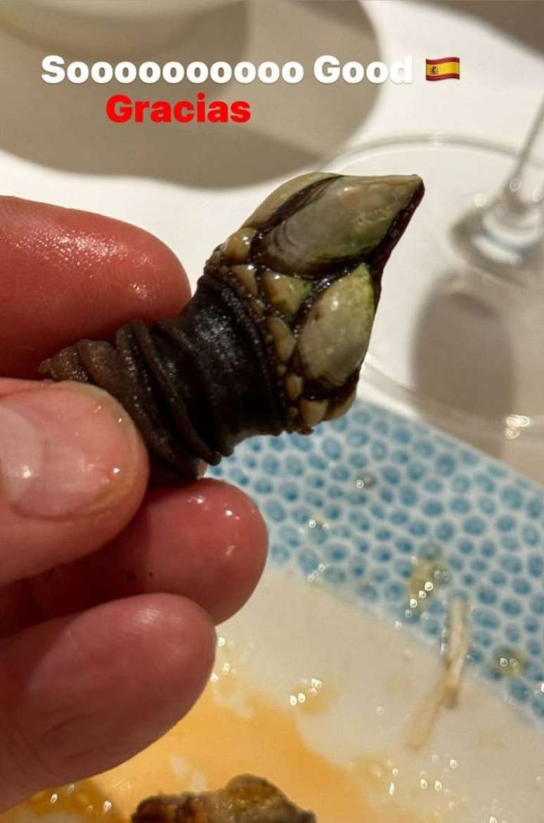 Beckham shows off barnacle details at a restaurant in Spain Beckham shows off barnacle details at a restaurant in Spain