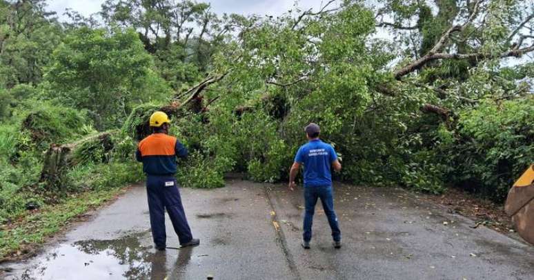 Quedas de &aacute;rvores prejudicaram acesso ao sistema de abastecimento em Caraguatatuba