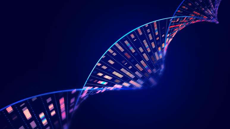 O DNA carrega as informações necessárias para produzir as proteínas que tornam a vida possível