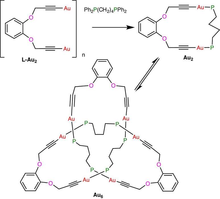 The process of formation of the molecule that formed the tightest knot in the history of science (Image: Li et al./Nature Communications) The process of formation of the molecule that formed the tightest knot in the history of science (Image: Li et al./Nature Communications)