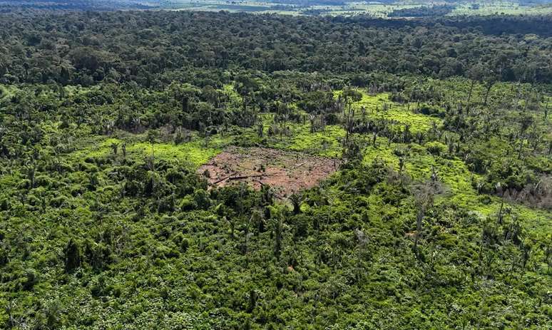 Imagem aérea mostra um rastro de ação ilegal na terra indígena karipuna