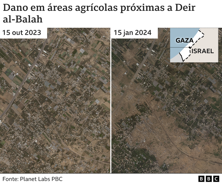 Imagens de satélite mostram antes e depois de áreas agrícolas devastadas em Gaza