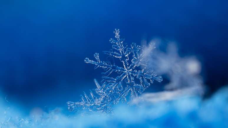 Suas formas s&atilde;o complexas e delicadas