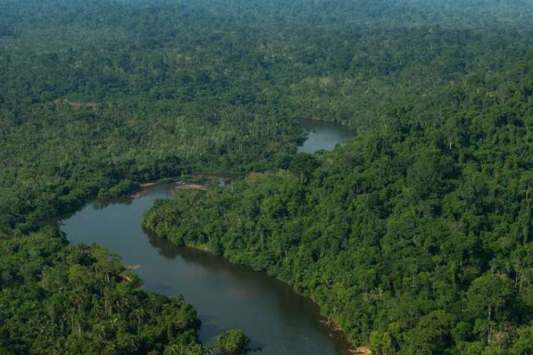 Recursos do fundo devem ser usados para promover projetos de preservação da Amazônia