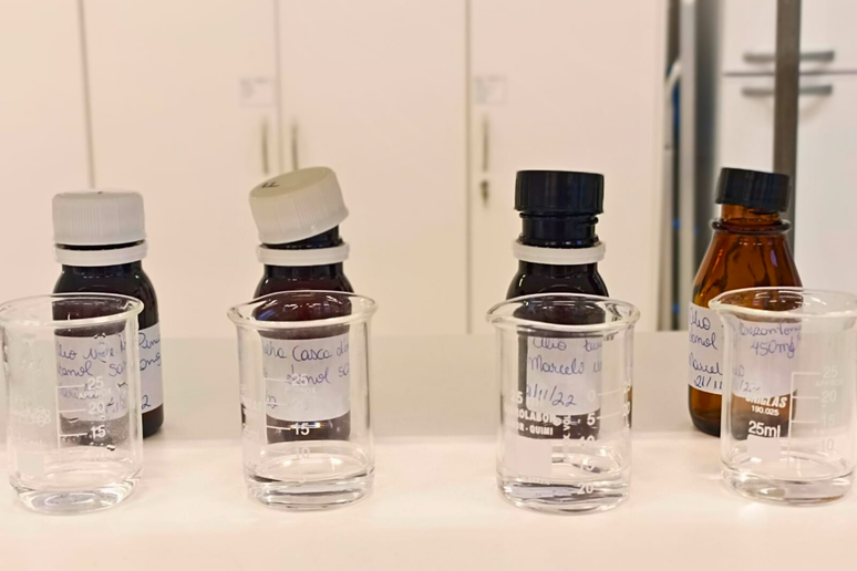 Pesquisadores da Unochapec&oacute; extra&iacute;ram &oacute;leos essenciais de plantas presentes em Santa Catarina e em demais Estados brasileiros 