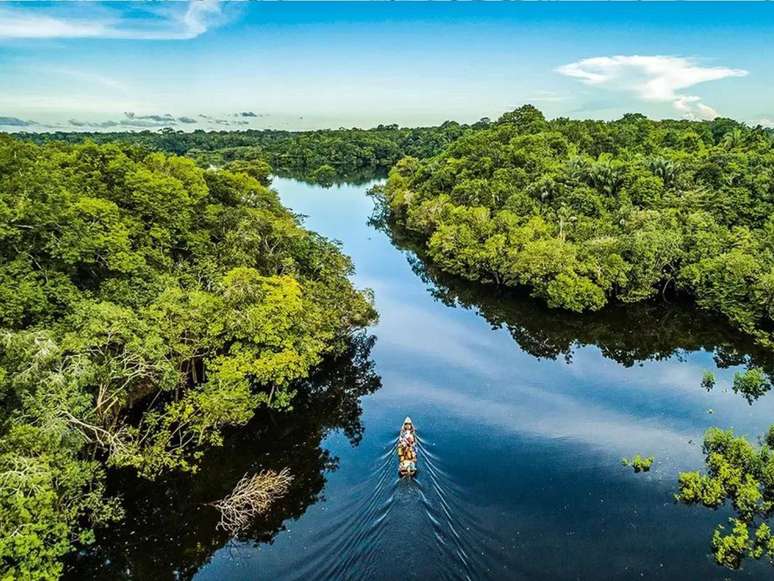 Imagem aérea mostra a Floresta Amazônica.