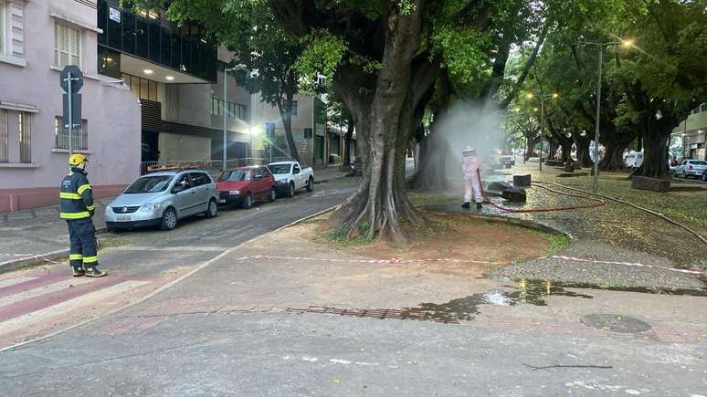Área precisou ser isolada. Prefeitura de Belo Horizonte foi convocada para retirada da colméia