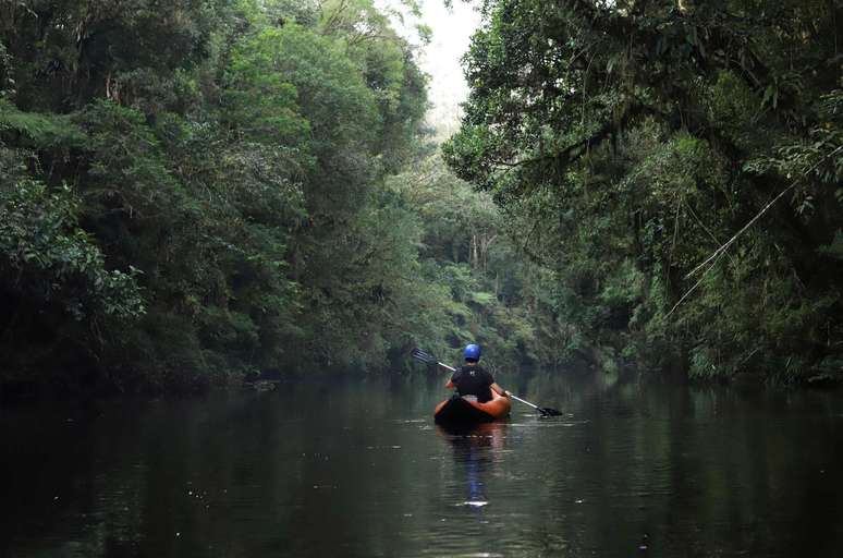 Parque das Neblinas 