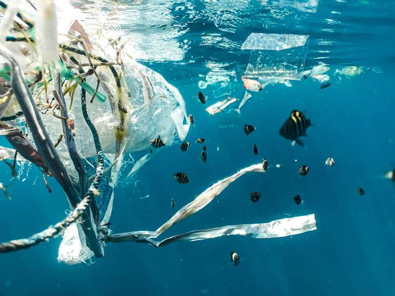  O lixo e poluição dos mares preocupam ambientalistas em todo o mundo
