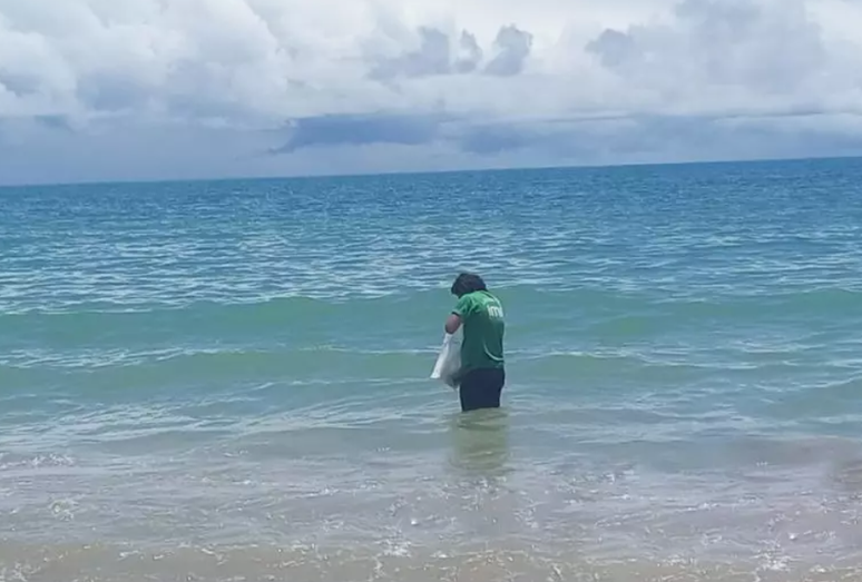 Técnico do Instituto do Meio Ambiente de Alagoas coleta amostras de microalgas de 'maré vermelha'