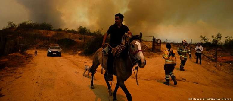 Incêndio florestal em Viña del Mar, Chile: mais provável devido às emissões carbônicas aceleradas