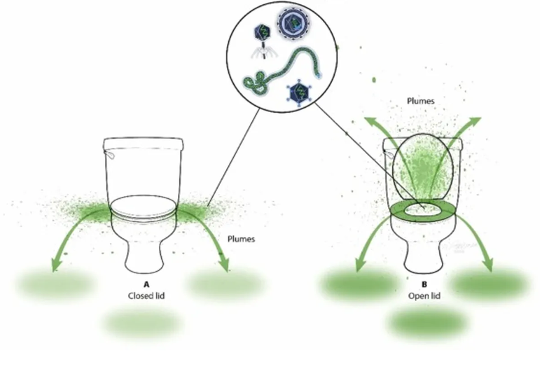 Vírus e bactérias escapam do vaso mesmo com a tampa fechada (Imagem: Gerba et al, 2024/American Journal of Infection Control)