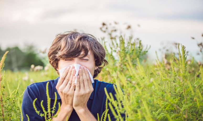 Rinite: 7 plantas que podem ajudar no controle da alergia