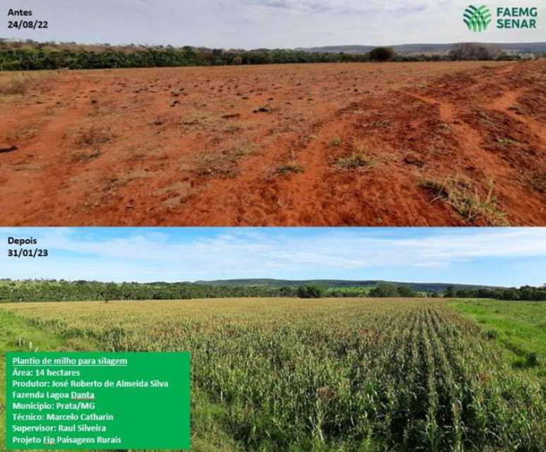 Imagens mostram diferença em terreno usado para plantio de milho para silagem em Prata, em Minas Gerais