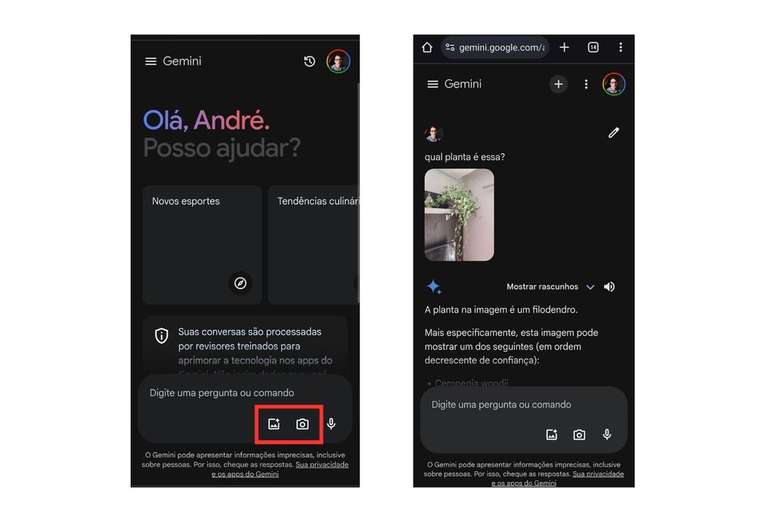 Gemini é multimodal, portanto aceita comandos com textos e imagens (Imagem: Captura de tela/André Magalhães/Canaltech)